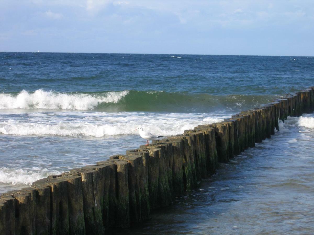 "Strand-Gut" Börgerende-Rethwisch Dış mekan fotoğraf
